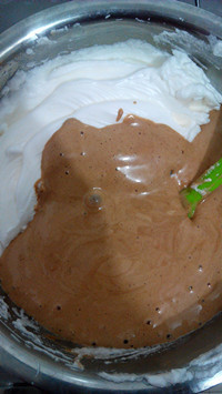 可可<a href=zt/qifengdg target=_blank><u>戚风蛋糕</u></a>