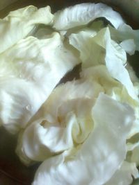 养生食谱大放送