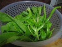 养生食谱大放送