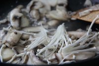 养生食谱大放送