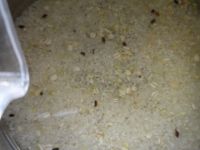 养生食谱大放送