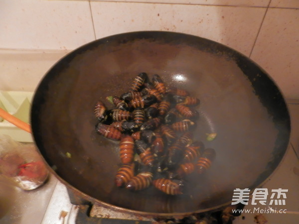 清炒大蛹的做法