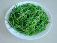 养生食谱大放送