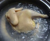 养生食谱大放送