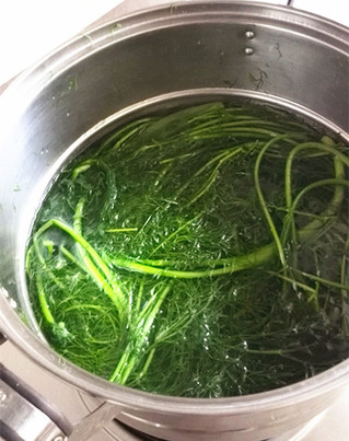 <a href=/shicai/shucai/HuiXiang/index.html target=_blank><u>茴香</u></a>饺子