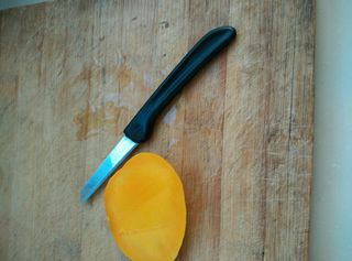 <a href=/shicai/guopin/MangGuo/index.html target=_blank><u>芒果</u></a>花