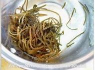 养生食谱大放送