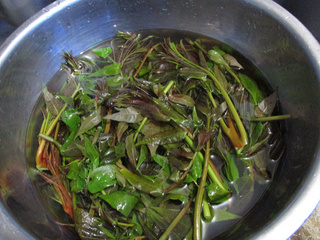 炸<a href=/shicai/shucai/XiangChun/index.html target=_blank><u>香椿</u></a>鱼