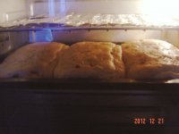 养生食谱大放送