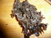 养生食谱大放送