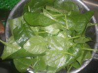 养生食谱大放送