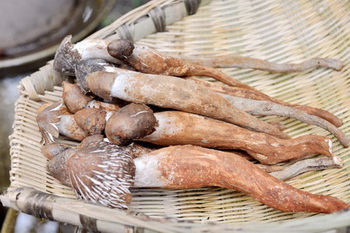 双椒炒菌王步骤2