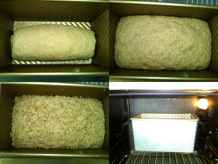 百分百全麦土司步骤5