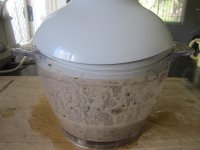 养生食谱大放送