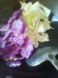 养生食谱大放送