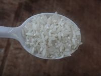 养生食谱大放送