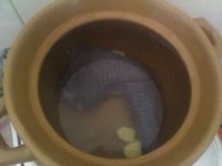 养生食谱大放送