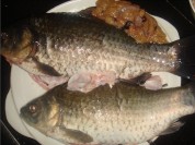 养生食谱大放送