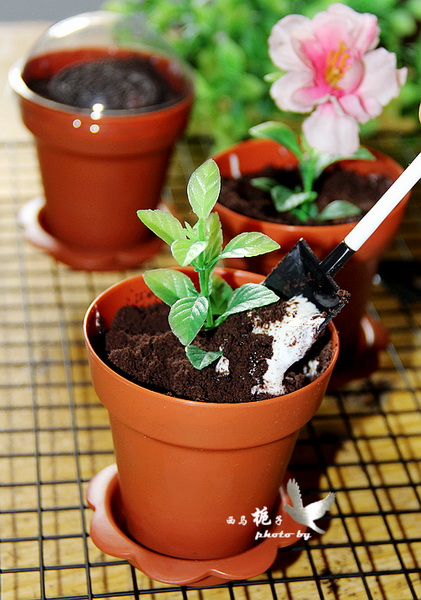 奥利奥<a href=/shicai/mimian/SuanNai/index.html target=_blank><u>酸奶</u></a>木糠盆栽的做法