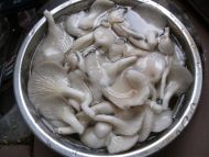 养生食谱大放送