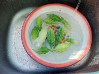 养生食谱大放送