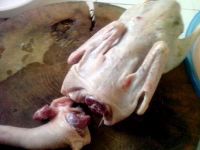 养生食谱大放送