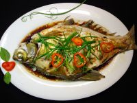 养生食谱大放送