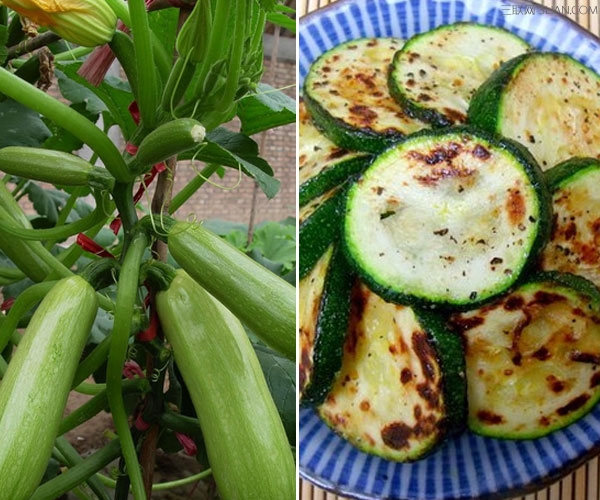 <a href=/shicai/shucai/XiHuLu/index.html target=_blank><u>西葫芦</u></a>的功效与作用       