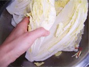 养生食谱大放送