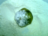 广式<a href=/shicai/rouqin/NiuRou/index.html target=_blank><u>牛肉</u></a>月饼