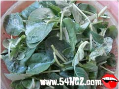 小<a href=/shicai/shucai/QingCai/index.html target=_blank><u>青菜</u></a>的做法1