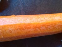 养生食谱大放送