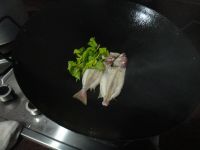 养生食谱大放送