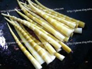 养生食谱大放送