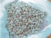 养生食谱大放送