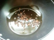 养生食谱大放送