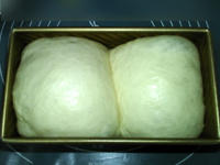 山形<a href=/shicai/mimian/MianBao/index.html target=_blank><u>面包</u></a>