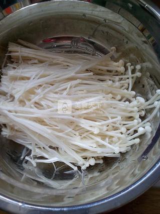 <a href=zt/lbjzg target=_blank><u>凉拌金针菇</u></a>