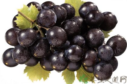 秋季吃什么补肾