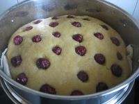 养生食谱大放送