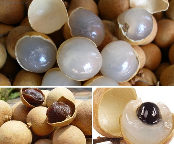 龙眼肉14种常见吃法