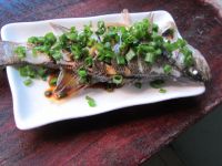 养生食谱大放送