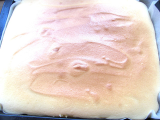 <a href=/shicai/guopin/MangGuo/index.html target=_blank><u>芒果</u></a>蛋糕卷