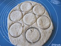 养生食谱大放送