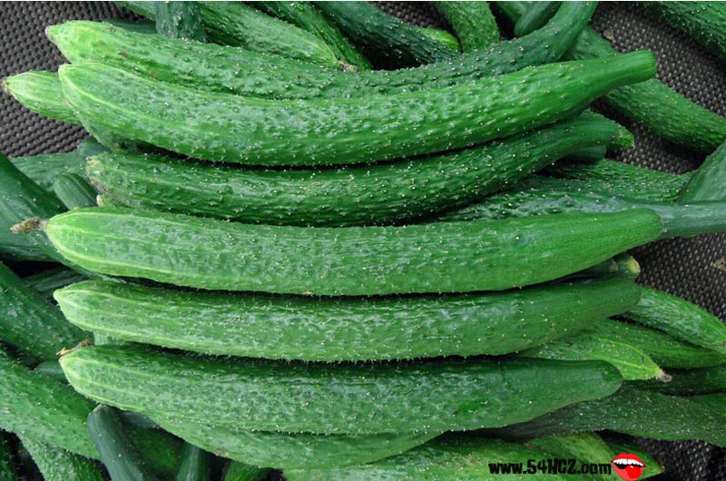 <a href=/shicai/shucai/HuangGua/index.html target=_blank><u>黄瓜</u></a><a href=/shicai/rouqin/JiDan/index.html target=_blank><u>鸡蛋</u></a>减肥法危害1