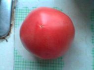 养生食谱大放送