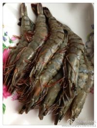 养生食谱大放送