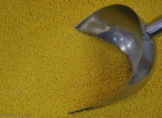 夏季<a href=/shicai/mimian/XiaoMi/index.html target=_blank><u>小米</u></a>生虫怎么办