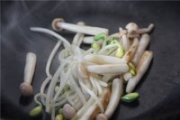 养生食谱大放送