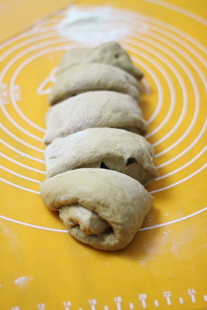 红糖<a href=/shicai/guopin/ManYueMei/index.html target=_blank><u>蔓越莓</u></a>软欧包步骤6